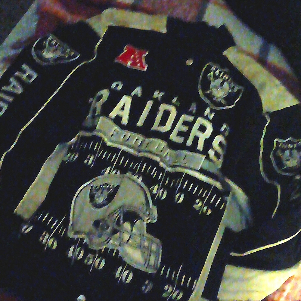 Vintage Oakland raiders jacket size large